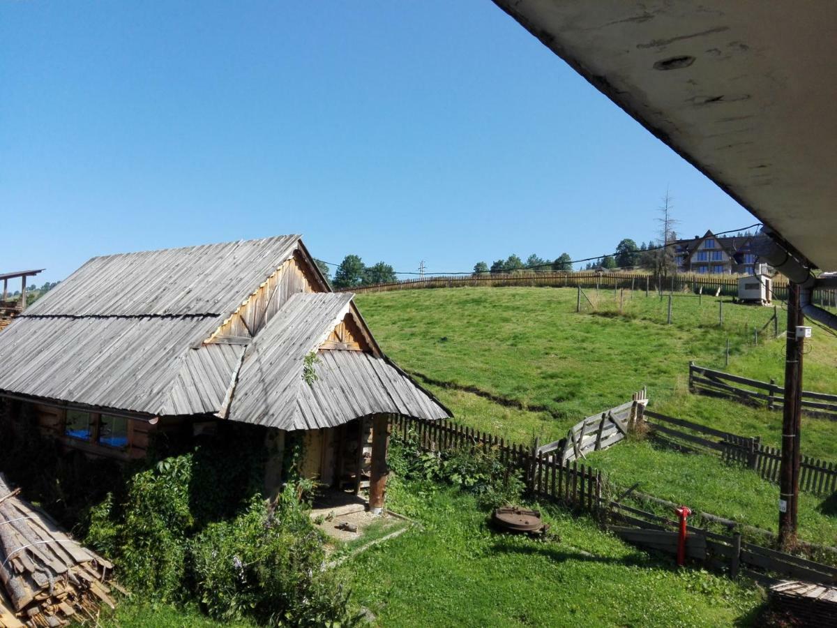 Pokoje Goscinne U Elzbiety Ciche Małe 外观 照片